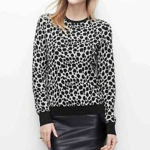 Ann Taylor sweater